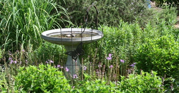 <a href="http://agrilife.org/rainwaterharvesting/landscaping/">Garden Landscapes</a>
